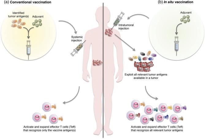 https://cdn.ncbi.nlm.nih.gov/pmc/blobs/da79/12007348/6246232e3f4b/13045_2025_1692_Fig1_HTML.jpg