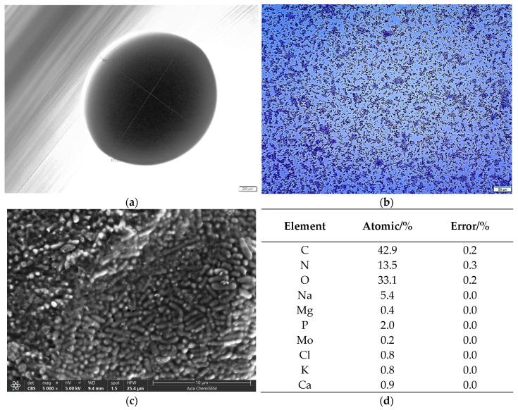 https://cdn.ncbi.nlm.nih.gov/pmc/blobs/da7d/11593877/00af1d946f10/gels-10-00752-g001.jpg