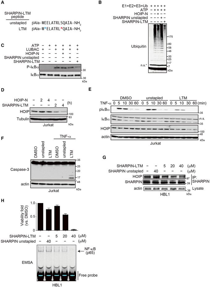 https://cdn.ncbi.nlm.nih.gov/pmc/blobs/da7d/6044281/0dcacb912e96/nihms-975286-f0007.jpg