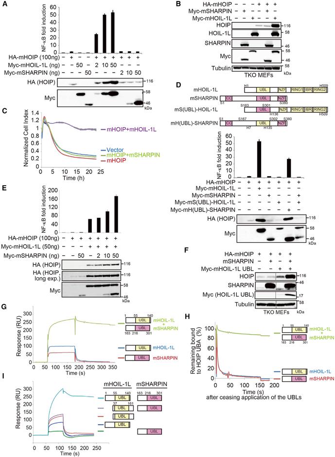 https://cdn.ncbi.nlm.nih.gov/pmc/blobs/da7d/6044281/221c346cf4df/nihms-975286-f0003.jpg