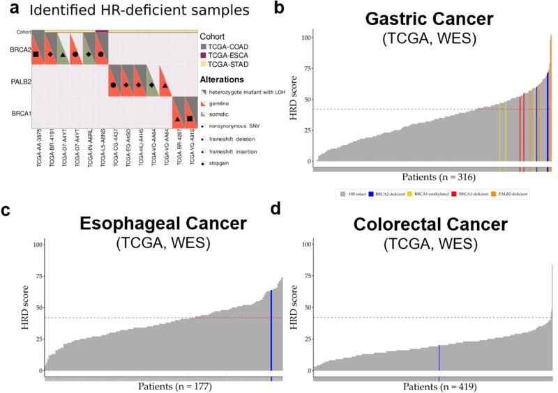 https://cdn.ncbi.nlm.nih.gov/pmc/blobs/da7e/11001913/36c4ec24b1d7/41698_2024_561_Fig1_HTML.jpg