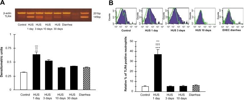 https://cdn.ncbi.nlm.nih.gov/pmc/blobs/da7e/4069137/641544c3f897/ijnrd-7-241Fig3.jpg
