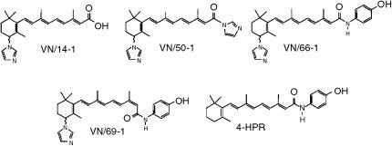 https://cdn.ncbi.nlm.nih.gov/pmc/blobs/da81/2361176/2e305bfd4395/94-6602971f1.jpg
