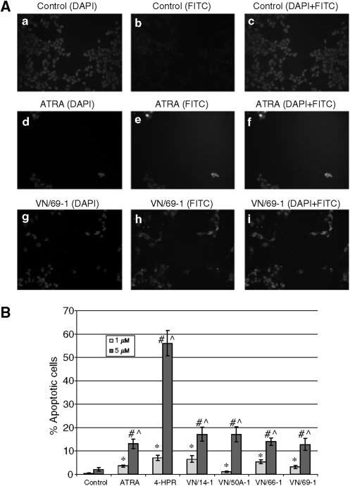 https://cdn.ncbi.nlm.nih.gov/pmc/blobs/da81/2361176/749571157a0a/94-6602971f6.jpg