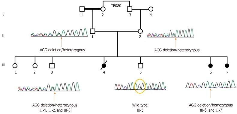 https://cdn.ncbi.nlm.nih.gov/pmc/blobs/da81/6354087/13a0be8c6c8c/WJCC-7-203-g001.jpg