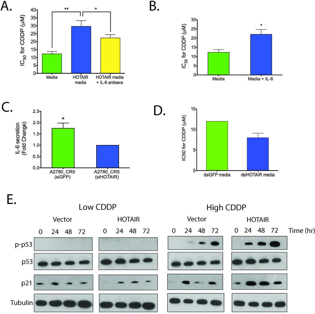 https://cdn.ncbi.nlm.nih.gov/pmc/blobs/da82/5050052/03569e90d150/nihms749207f6.jpg