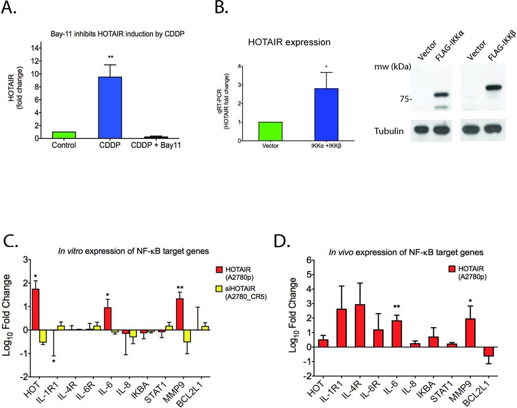 https://cdn.ncbi.nlm.nih.gov/pmc/blobs/da82/5050052/4b304abe137a/nihms749207f4.jpg