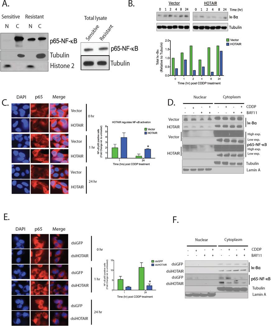 https://cdn.ncbi.nlm.nih.gov/pmc/blobs/da82/5050052/e473e2c92dde/nihms749207f3.jpg