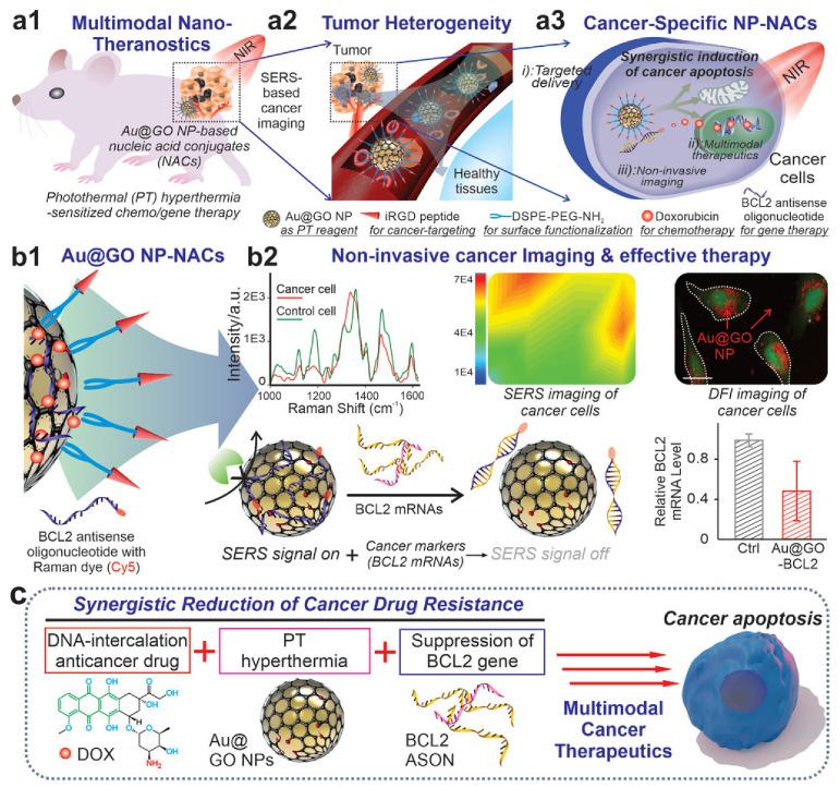 https://cdn.ncbi.nlm.nih.gov/pmc/blobs/da83/10969916/102d81349a88/ijms-25-03266-g001.jpg