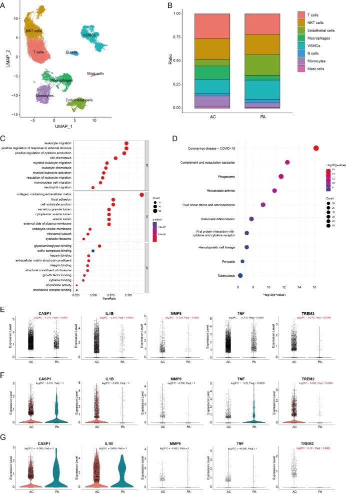 https://cdn.ncbi.nlm.nih.gov/pmc/blobs/da83/12218848/346b0533013c/41598_2025_4398_Fig5_HTML.jpg