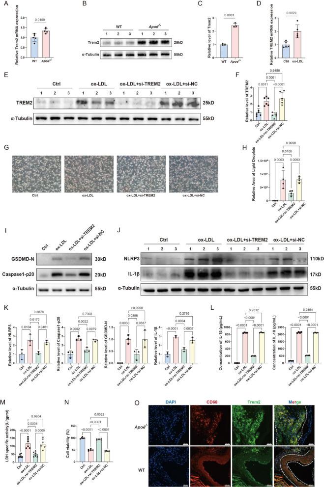 https://cdn.ncbi.nlm.nih.gov/pmc/blobs/da83/12218848/d71fc1173858/41598_2025_4398_Fig6_HTML.jpg