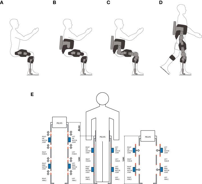 https://cdn.ncbi.nlm.nih.gov/pmc/blobs/da83/8529015/3427af7d4874/fnbot-15-709731-g0003.jpg