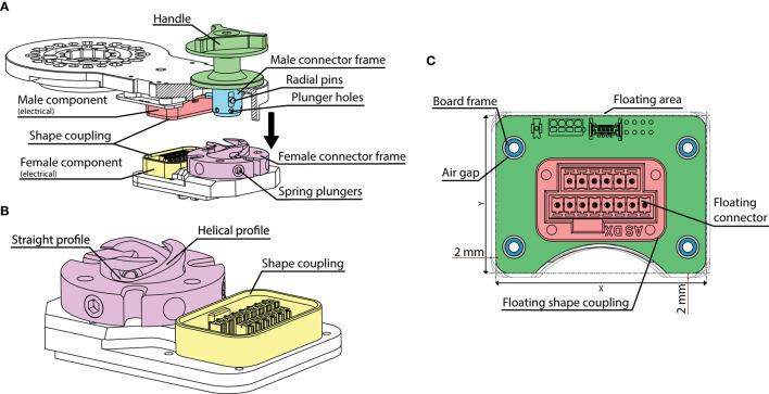 https://cdn.ncbi.nlm.nih.gov/pmc/blobs/da83/8529015/88546d22944b/fnbot-15-709731-g0005.jpg