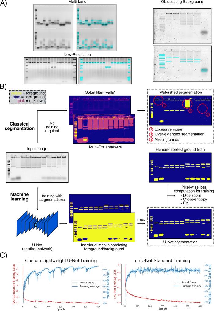 https://cdn.ncbi.nlm.nih.gov/pmc/blobs/da84/12053679/3fae05c55129/41467_2025_59189_Fig2_HTML.jpg
