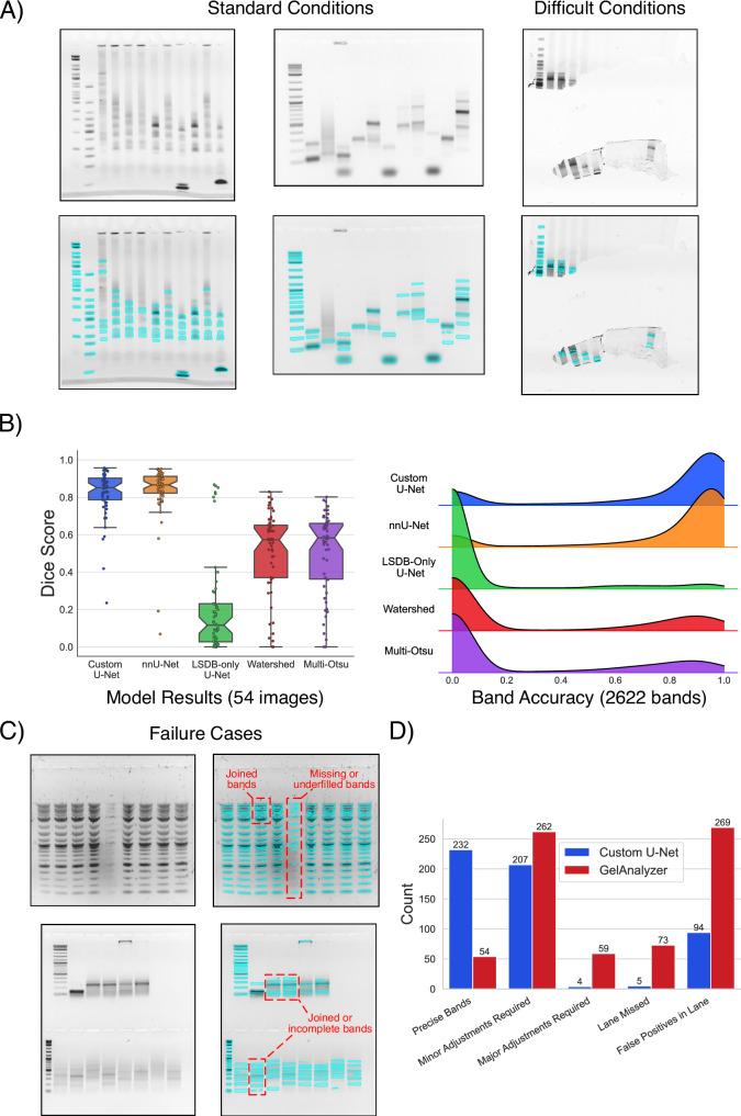 https://cdn.ncbi.nlm.nih.gov/pmc/blobs/da84/12053679/5dd037dca200/41467_2025_59189_Fig3_HTML.jpg