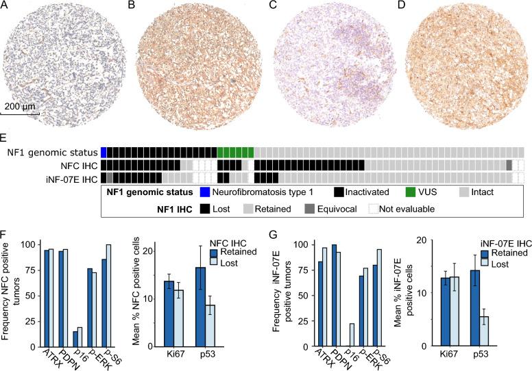 https://cdn.ncbi.nlm.nih.gov/pmc/blobs/da86/11520828/41a7fc18ddfa/40478_2024_1875_Fig3_HTML.jpg
