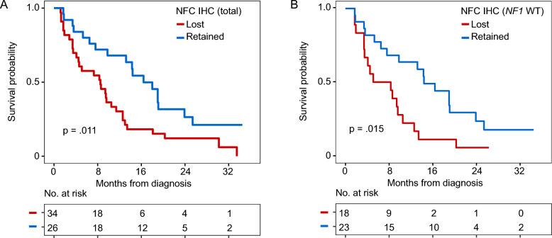 https://cdn.ncbi.nlm.nih.gov/pmc/blobs/da86/11520828/bd4d164de5f5/40478_2024_1875_Fig4_HTML.jpg