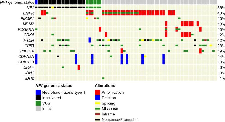 https://cdn.ncbi.nlm.nih.gov/pmc/blobs/da86/11520828/c4c32d98bf88/40478_2024_1875_Fig2_HTML.jpg