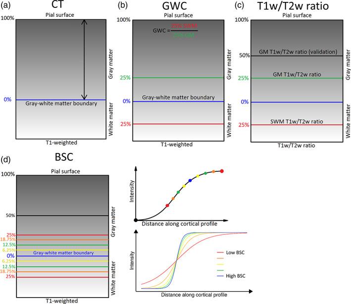 https://cdn.ncbi.nlm.nih.gov/pmc/blobs/da8e/10171508/740b6d3c6223/HBM-44-3023-g007.jpg