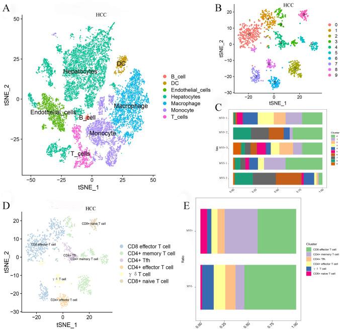https://cdn.ncbi.nlm.nih.gov/pmc/blobs/da8f/12085452/5514e5f67268/12672_2025_2649_Fig2_HTML.jpg