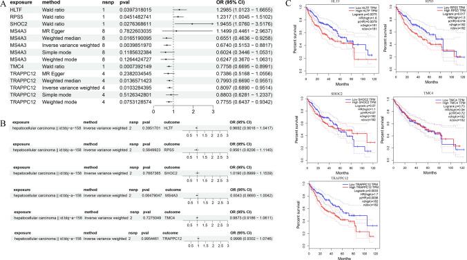 https://cdn.ncbi.nlm.nih.gov/pmc/blobs/da8f/12085452/8a2ec1365c0b/12672_2025_2649_Fig11_HTML.jpg