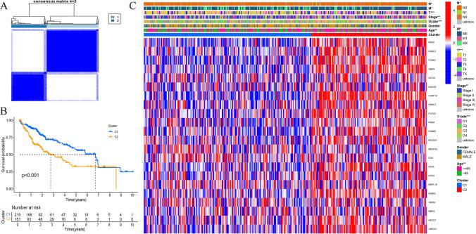https://cdn.ncbi.nlm.nih.gov/pmc/blobs/da8f/12085452/8fd0585a6ed6/12672_2025_2649_Fig12_HTML.jpg