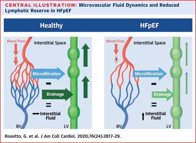 https://cdn.ncbi.nlm.nih.gov/pmc/blobs/da90/7724570/06f21ca5bfc2/fx1.jpg