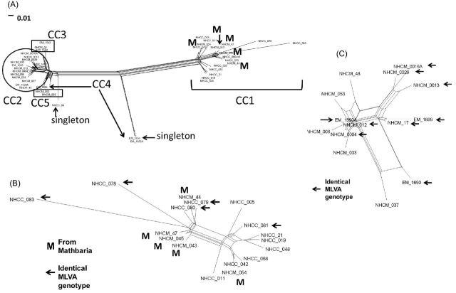 https://cdn.ncbi.nlm.nih.gov/pmc/blobs/da93/4876684/9e65f4714eb3/fnw116fig3.jpg