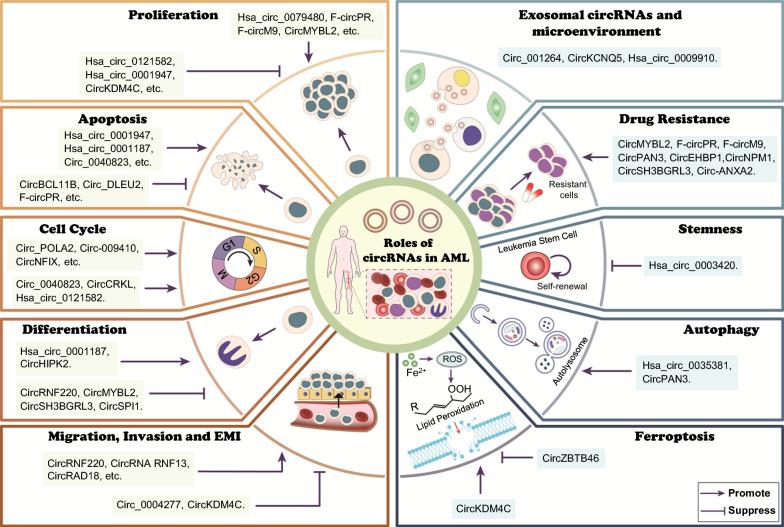 https://cdn.ncbi.nlm.nih.gov/pmc/blobs/da96/12038945/cb2113ae3b05/12935_2025_3772_Fig2_HTML.jpg