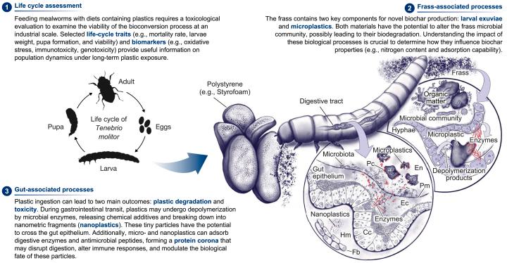 https://cdn.ncbi.nlm.nih.gov/pmc/blobs/da97/11758129/54605df84573/gr3.jpg