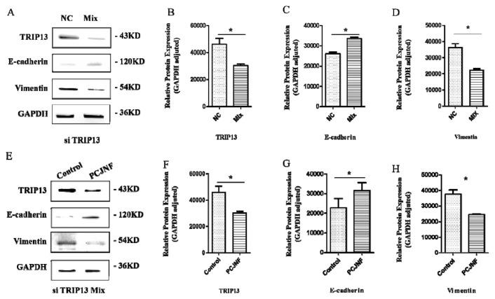 https://cdn.ncbi.nlm.nih.gov/pmc/blobs/da99/12213169/127e8bcfd1c5/jfda-33-02-150f6.jpg
