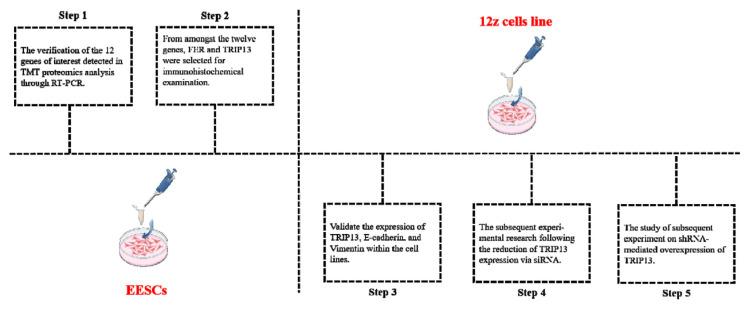 https://cdn.ncbi.nlm.nih.gov/pmc/blobs/da99/12213169/16a41ace9eb0/jfda-33-02-150f1.jpg