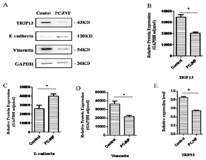 https://cdn.ncbi.nlm.nih.gov/pmc/blobs/da99/12213169/5d0f1bcf2043/jfda-33-02-150f4.jpg