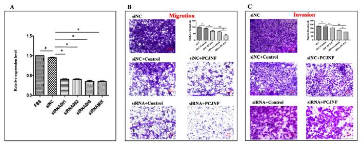 https://cdn.ncbi.nlm.nih.gov/pmc/blobs/da99/12213169/a2a5f8cc2bf9/jfda-33-02-150f5.jpg