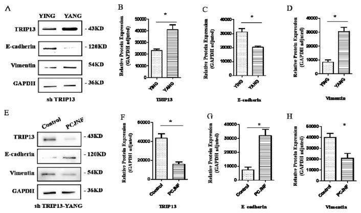 https://cdn.ncbi.nlm.nih.gov/pmc/blobs/da99/12213169/d80f439c11dc/jfda-33-02-150f8.jpg