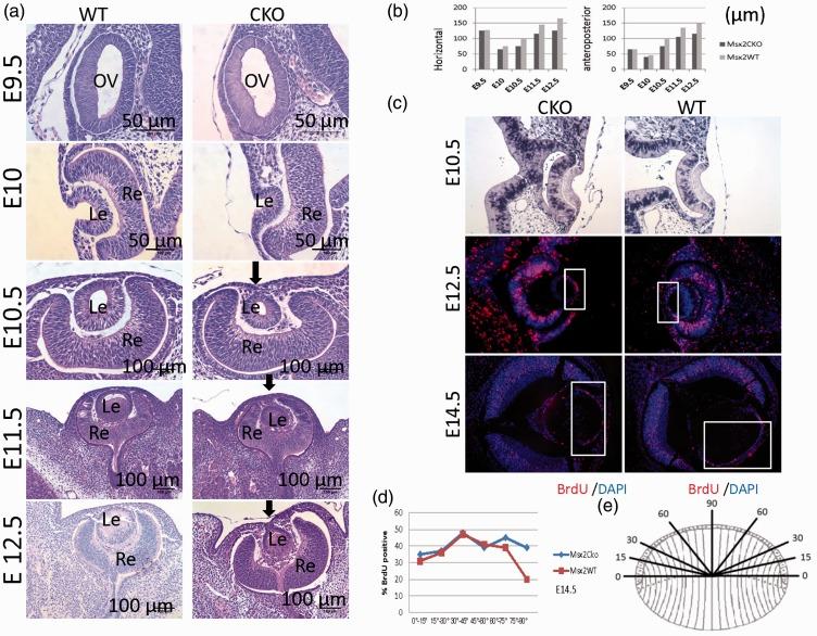 https://cdn.ncbi.nlm.nih.gov/pmc/blobs/da9c/6124292/5f998c711b06/10.1177_0300060518774687-fig2.jpg