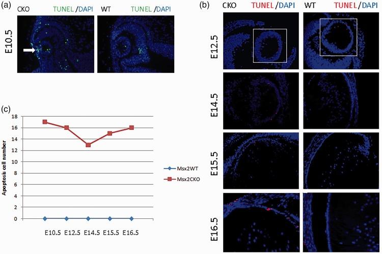 https://cdn.ncbi.nlm.nih.gov/pmc/blobs/da9c/6124292/aed0559ee91e/10.1177_0300060518774687-fig3.jpg