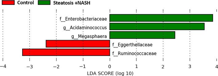 https://cdn.ncbi.nlm.nih.gov/pmc/blobs/da9f/10959783/3670354db03b/535_2023_2075_Fig2_HTML.jpg