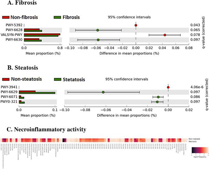 https://cdn.ncbi.nlm.nih.gov/pmc/blobs/da9f/10959783/69ff456f67a5/535_2023_2075_Fig5_HTML.jpg