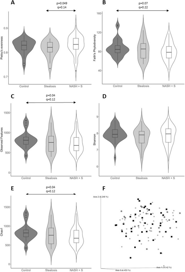 https://cdn.ncbi.nlm.nih.gov/pmc/blobs/da9f/10959783/ec894ba5b32e/535_2023_2075_Fig1_HTML.jpg