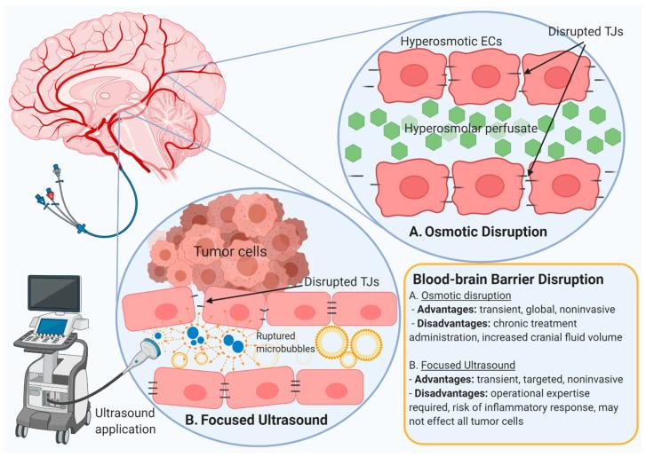 https://cdn.ncbi.nlm.nih.gov/pmc/blobs/daa0/7763839/bc6936318915/pharmaceutics-12-01205-g004.jpg
