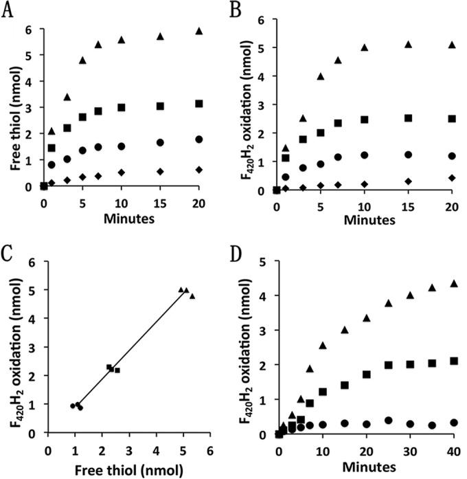 https://cdn.ncbi.nlm.nih.gov/pmc/blobs/daa4/5296606/ff024c818933/mbo0011731730003.jpg