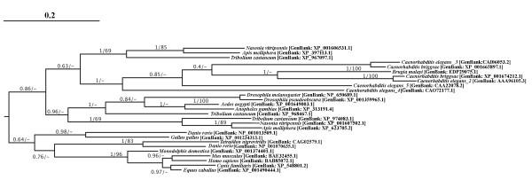 https://cdn.ncbi.nlm.nih.gov/pmc/blobs/daa5/2492878/880edb112746/1471-2148-8-214-6.jpg