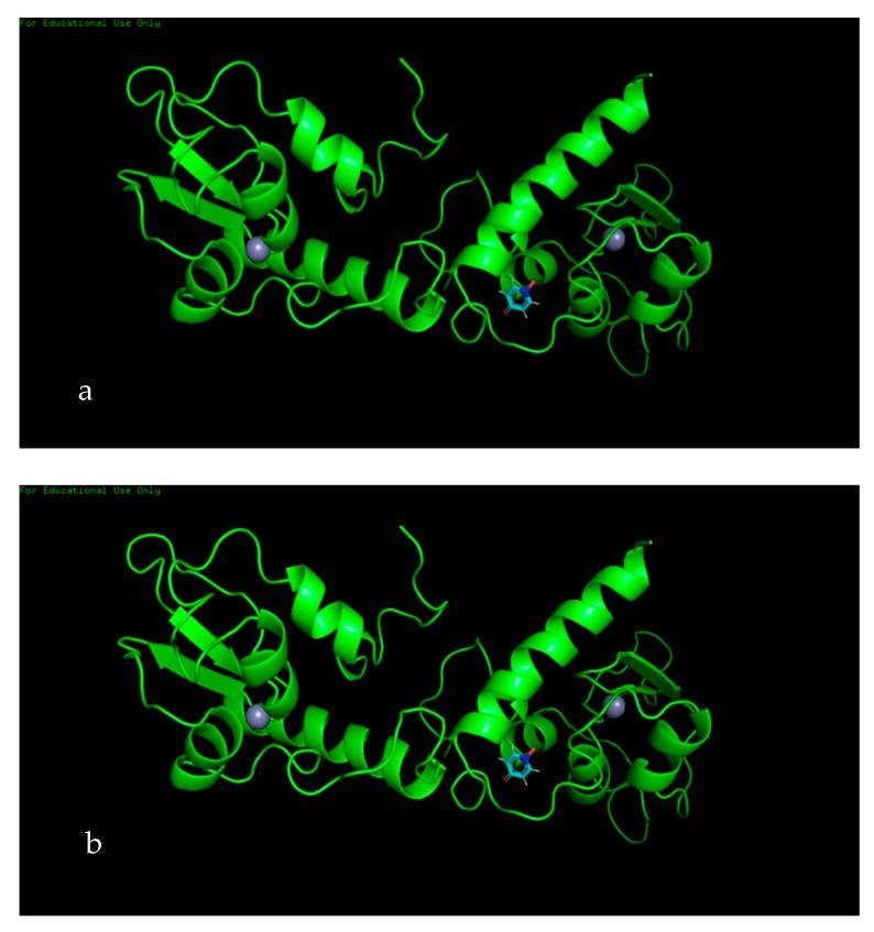https://cdn.ncbi.nlm.nih.gov/pmc/blobs/daa5/7072598/884433959635/biomolecules-10-00165-g006.jpg
