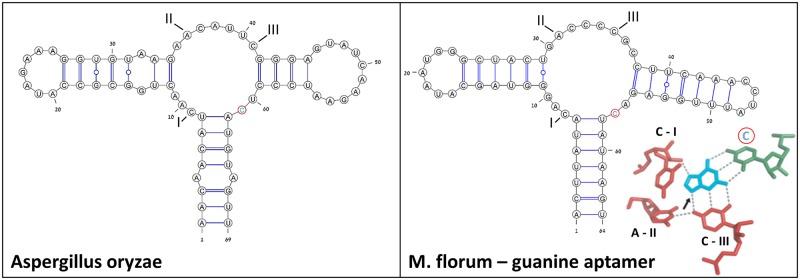 https://cdn.ncbi.nlm.nih.gov/pmc/blobs/daa6/4521916/19423398c185/pone.0134262.g006.jpg