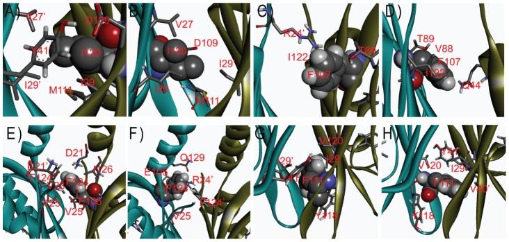 https://cdn.ncbi.nlm.nih.gov/pmc/blobs/daa8/3701716/fecd51388503/pcbi.1003129.g003.jpg