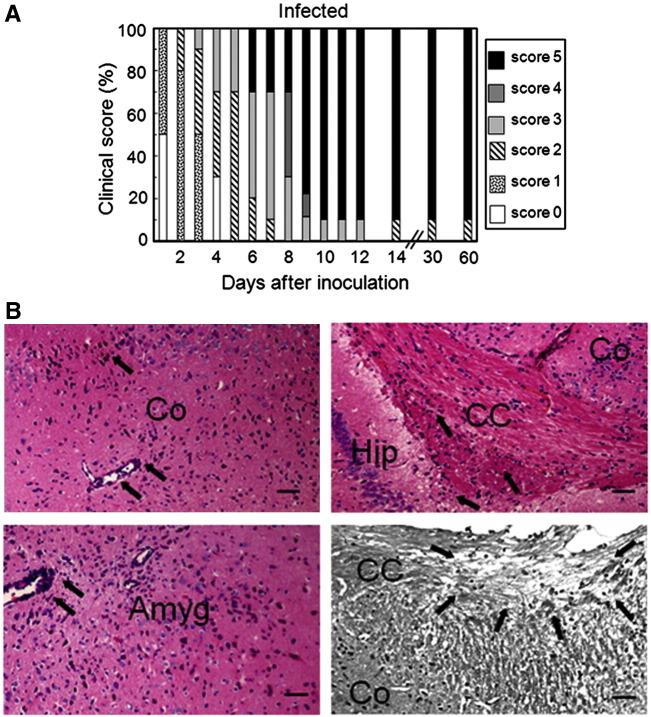 https://cdn.ncbi.nlm.nih.gov/pmc/blobs/daa9/7126783/f40e6fe7846a/gr1_lrg.jpg
