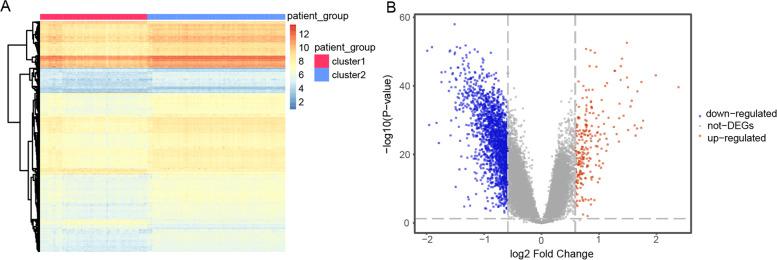 https://cdn.ncbi.nlm.nih.gov/pmc/blobs/daab/10131417/764de48c7a3f/12864_2023_9304_Fig5_HTML.jpg