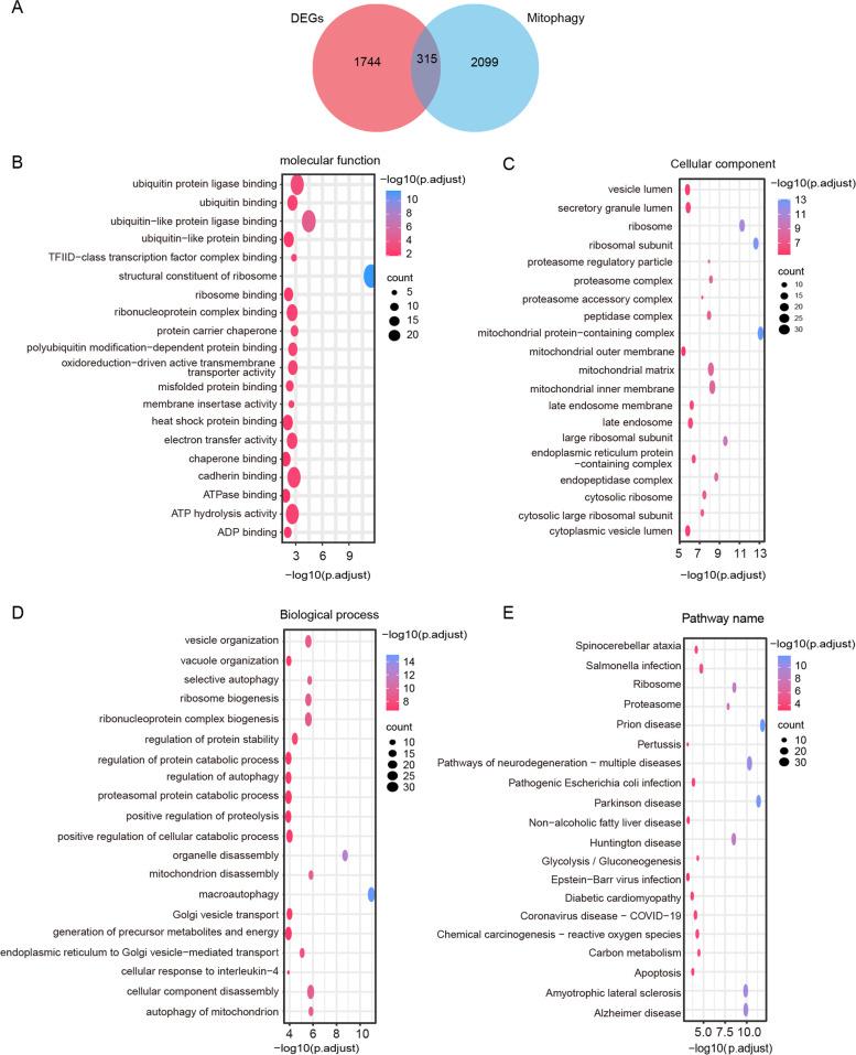 https://cdn.ncbi.nlm.nih.gov/pmc/blobs/daab/10131417/7b8e6d8ca399/12864_2023_9304_Fig6_HTML.jpg