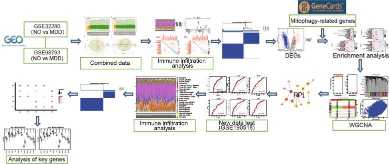 https://cdn.ncbi.nlm.nih.gov/pmc/blobs/daab/10131417/b0a35681224e/12864_2023_9304_Fig1_HTML.jpg